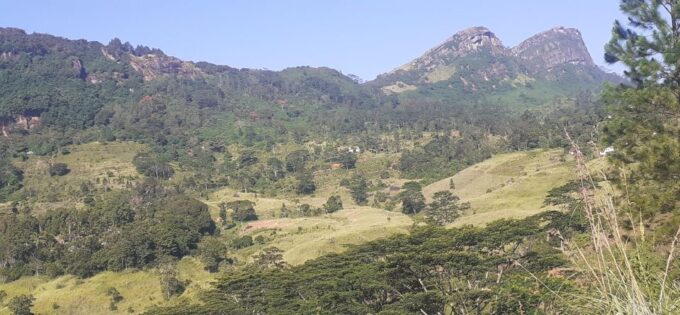 Kandy to Sigiriya Day Tour - Important Information
