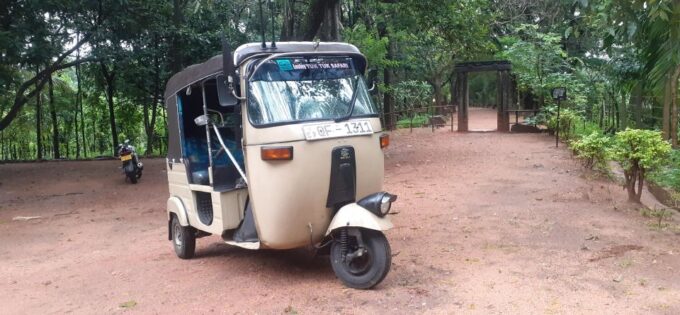 Kandy to Sigiriya Day Tour - Tour Guide