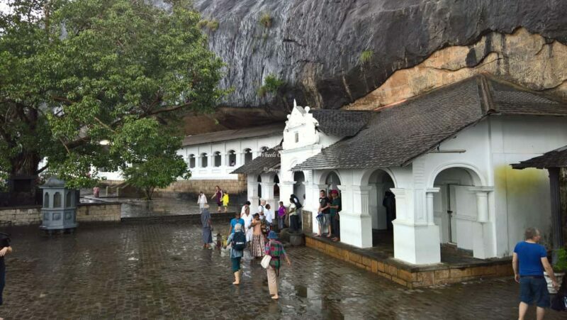 Kandy To Sigiriya Day Tour With Minneriya Safari - Who Should Consider This Tour?