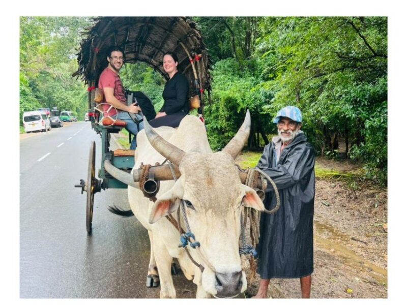 Kandy to Sigiriya Day Tours Tuk Tuk by Local - Itinerary Highlights