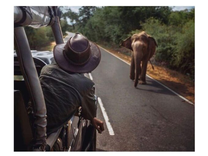 Kandy to Sigiriya Day Tours Tuk Tuk by Local - Frequently Asked Questions