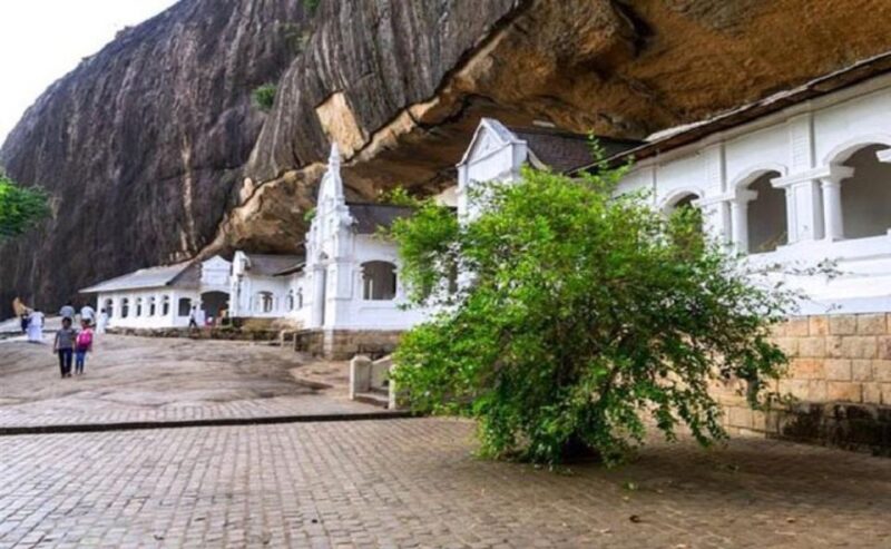 Kandy to Sigiriya Day Trip With Recommended Guide - Transportation and Guide