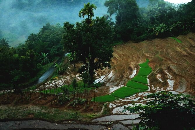 Kandy Village Walk With a Local - Immersive Village Experience