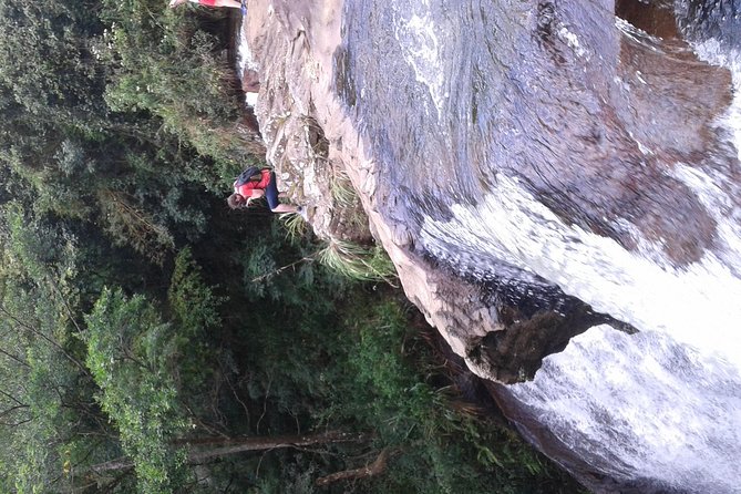 Kandy Waterfalls Day Tour - Booking and Contact Information