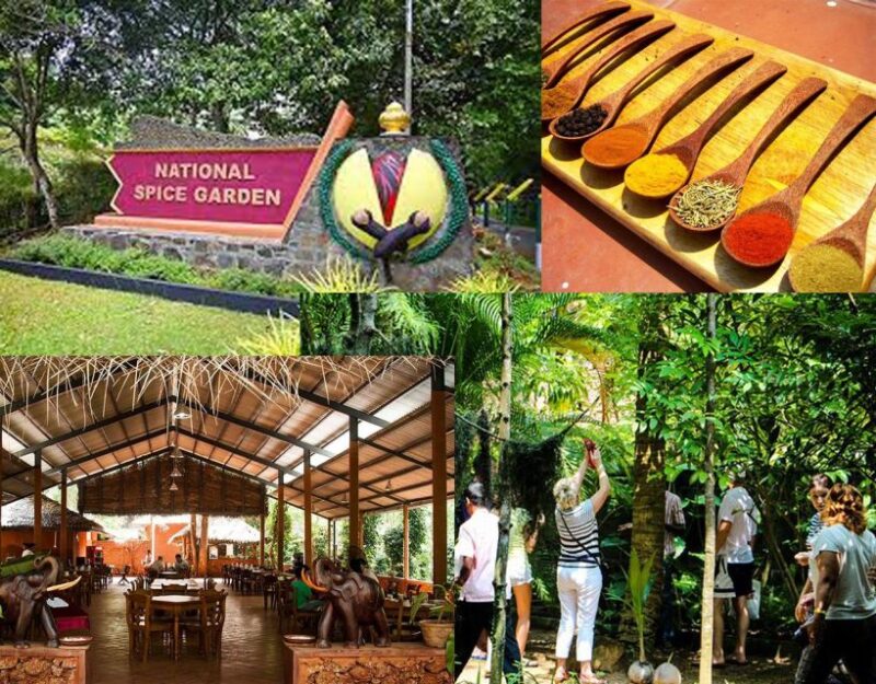 Kandy:Sigiriya Fortress & Cave Temple All-Inclusive Tuk Tour - Itinerary Highlights