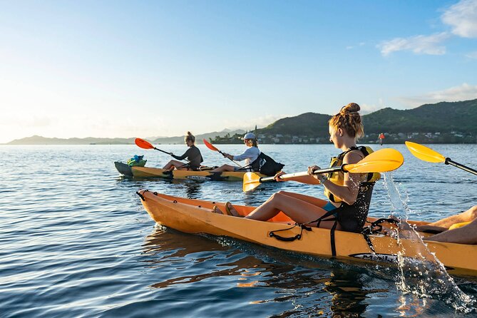 Kaneohe Bay Coral Reef Self-Guided Kayak Tour - Meeting and Pickup Information