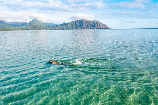 Kaneohe Bay Coral Reef Self-Guided Kayak Tour - Health and Safety Considerations