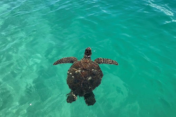 Kaneohe Bay Kayak Rental (Two-Person Kayak) - Operating Hours and Availability