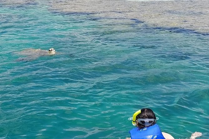 Kaneohe Bay Kayak Rental (Two-Person Kayak) - Private Tour and Group Participation