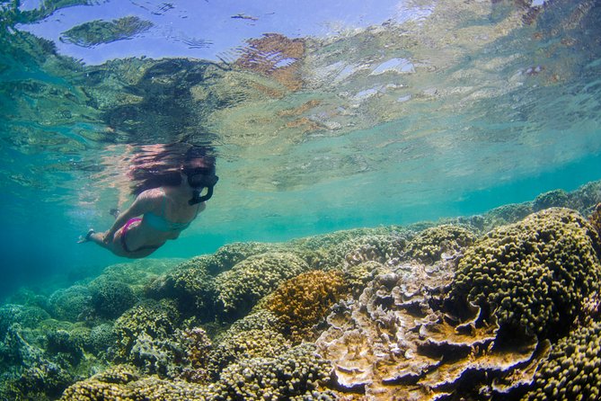 Kaneohe Bay Kayak Rental (Two-Person Kayak) - Customer Feedback and Highlights