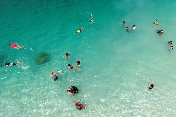 Kaneohe Sandbar Snorkeling Tour / 1st Tour - Encountering Turtles in Turtle Reef