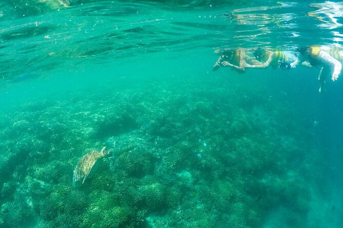 Kaneohe Sandbar Snorkeling Tour / 1st Tour - Additional Information