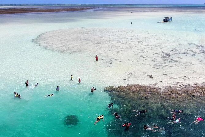 Kaneohe Sandbar Snorkeling Tour, 2nd Tour - Additional Information