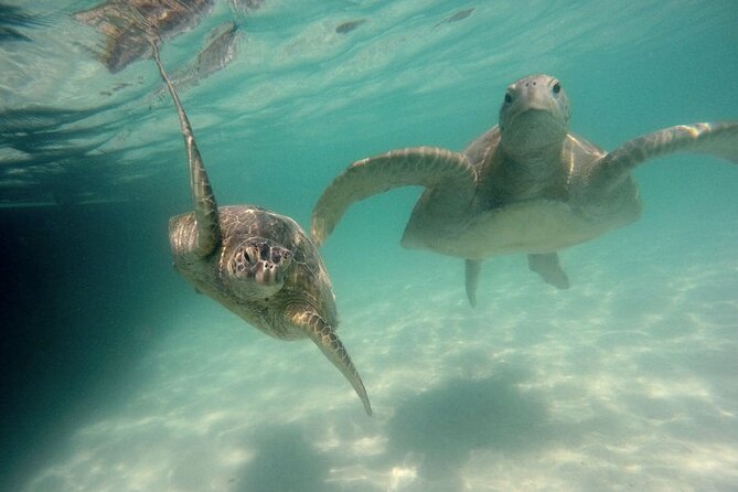 Kaneohe Sandbar Snorkeling Tour, 2nd Tour - Cancellation Policy