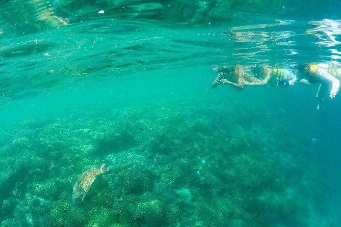 Kaneohe Sandbar Snorkeling Tour, 2nd Tour - Snorkeling Gear Included
