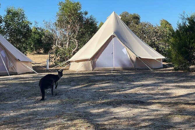 Kangaroo Island 2-Day Wildlife Adventure Small Group tour - The Complete Experience: What to Expect