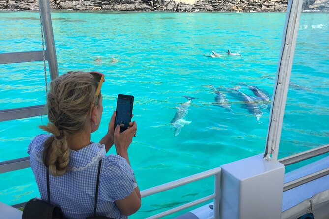 Kangaroo Island 75-Minute Coastal Safari - Accessibility Considerations
