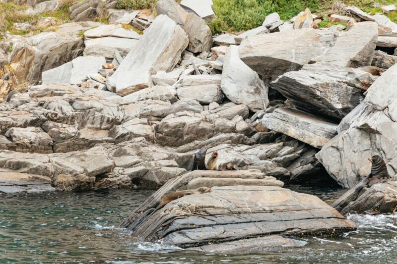 Kangaroo Island: 75-Minute Coastal Safari - Included Amenities