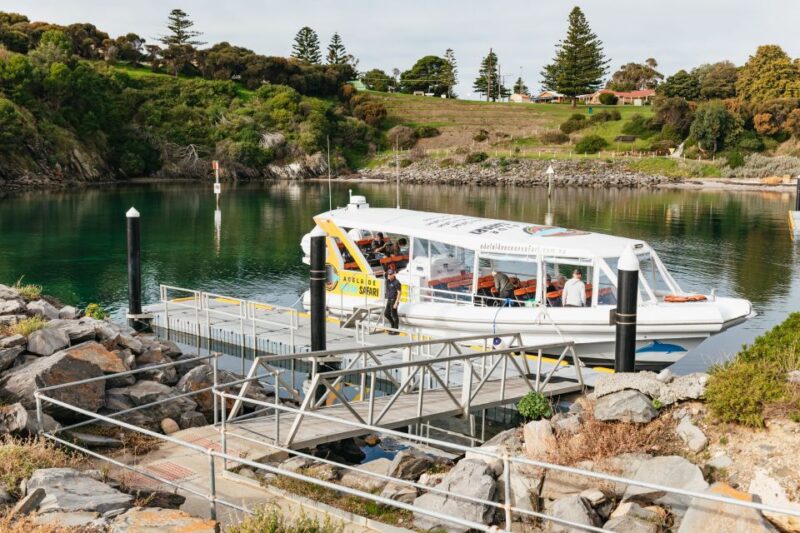 Kangaroo Island: 75-Minute Coastal Safari - Customer Feedback