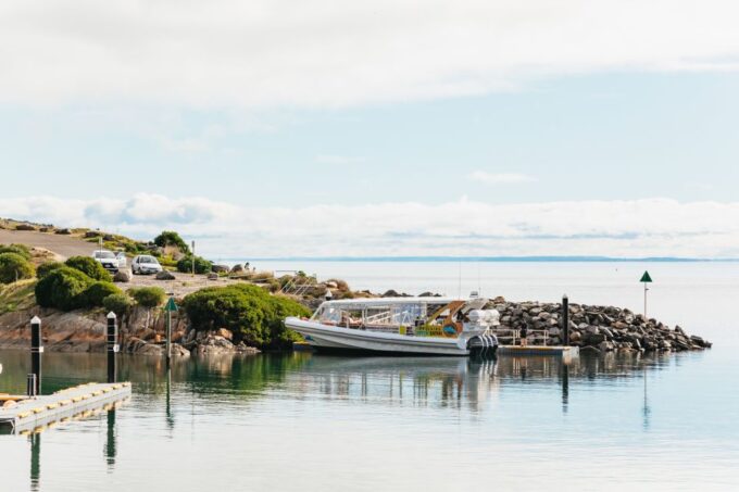 Kangaroo Island: 75-Minute Coastal Safari - Suitability and Audience