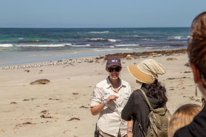Kangaroo Island Full Day Experience by Ferry Including Lunch - Key Points