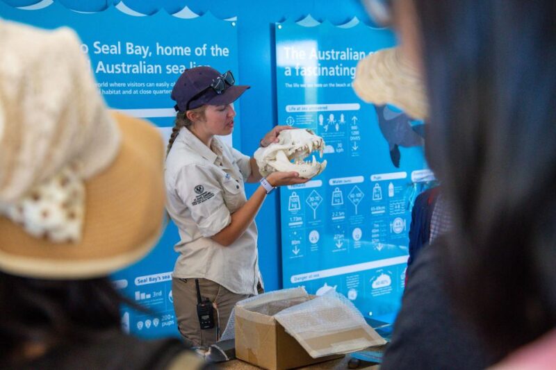 Kangaroo Island Full Day Experience by Ferry Including Lunch - Logistics
