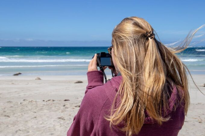 Kangaroo Island Full Day Experience by Ferry Including Lunch - Seal Bay Conservation Park
