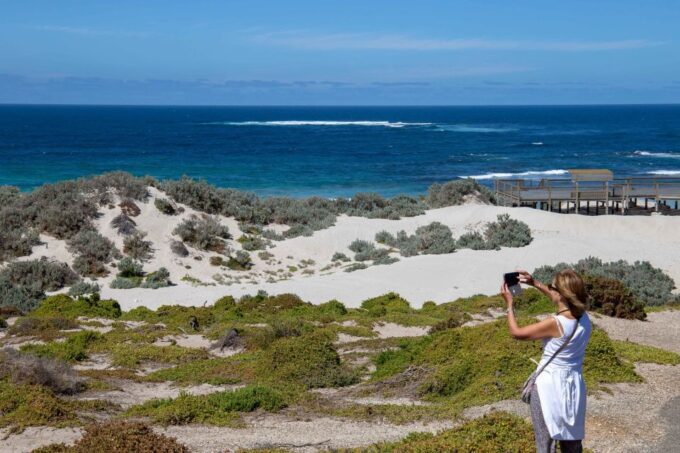 Kangaroo Island Full Day Experience by Ferry Including Lunch - Wildlife Spotting