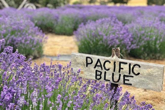 Kangaroo Island - Full Day Tasting Tour - Local Producers Visited
