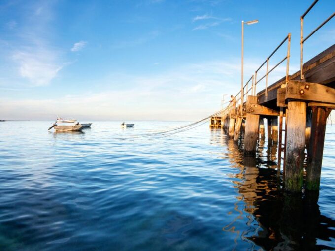 Kangaroo Island: Half-Day Tour Guided Coach Tour - Wildlife Sightings