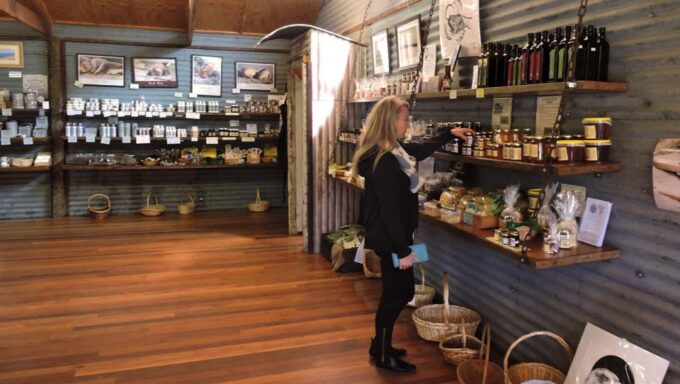 Kangaroo Island: Half-Day Tour Guided Coach Tour - Recap