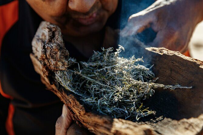Kangaroo Island Indigenous Tour (1 Day) - An In-Depth Look at the Kangaroo Island Indigenous Tour