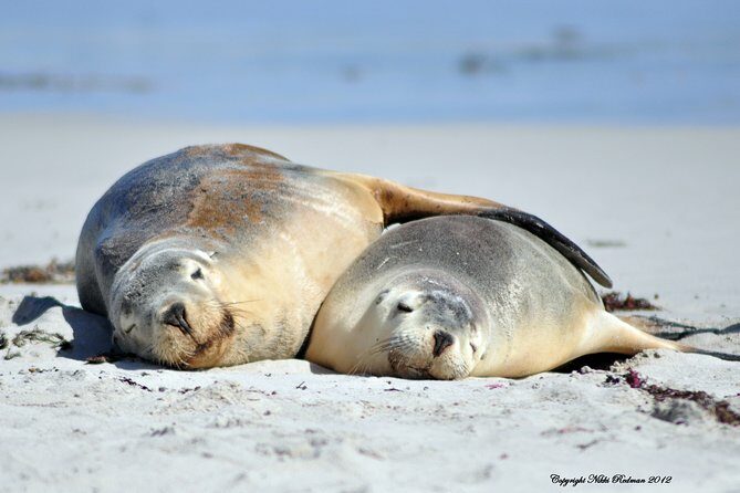 Kangaroo Island Indigenous Tour (1 Day) - Who Would Love This Tour?