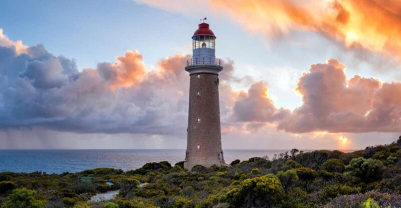 Kangaroo Island Lighthouse, Kangaroos and Wine Tasting - Scenic and Historical Exploration