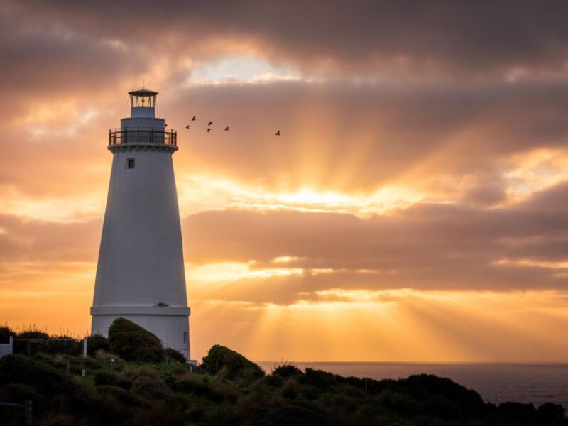Kangaroo Island Lighthouse, Kangaroos and Wine Tasting - Transportation and Guide
