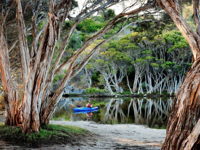 Kangaroo Island Lighthouse, Kangaroos and Wine Tasting - Wine Tasting Experience
