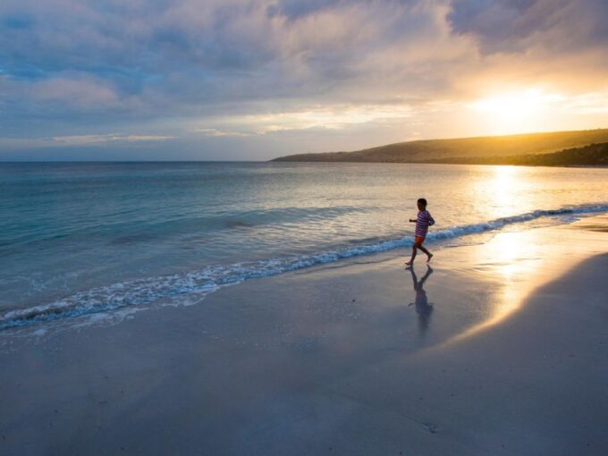 Kangaroo Island Lighthouse, Kangaroos and Wine Tasting - Additional Details