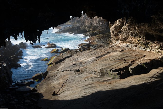 Kangaroo Island Luxury Small Group Flinders Chase Focus Full Day Tour - Pickup Information