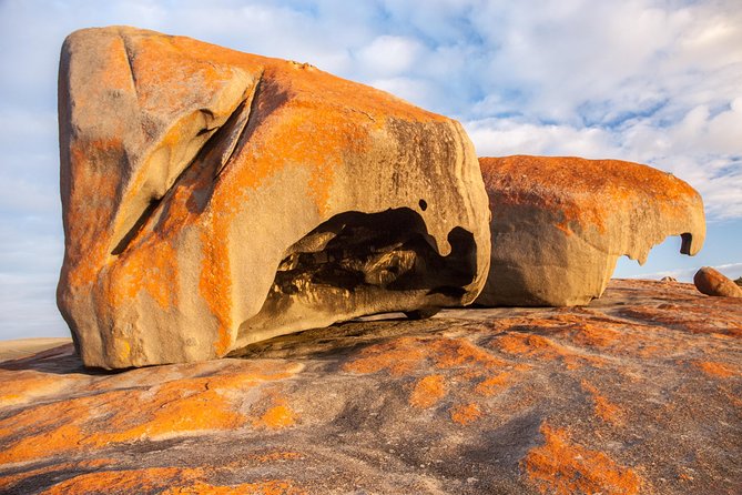 Kangaroo Island Luxury Small Group Flinders Chase Focus Full Day Tour - Additional Details