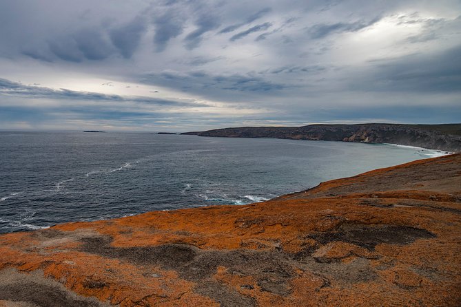 Kangaroo Island Luxury Small Group Flinders Chase Focus Full Day Tour - Exceptional Reviews