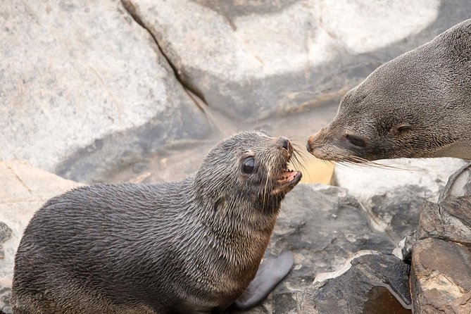Kangaroo Island Luxury Small Group Flinders Chase Focus Full Day Tour - Booking Confirmation