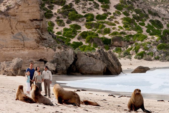 Kangaroo Island Scenic Nature and Wildlife Day Tour - Accessibility and Fitness