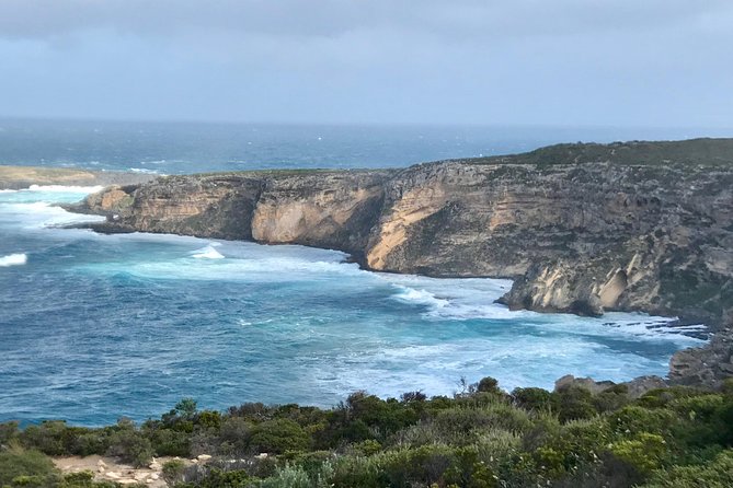 Kangaroo Island Scenic Nature and Wildlife Day Tour - Tour Guide Performance