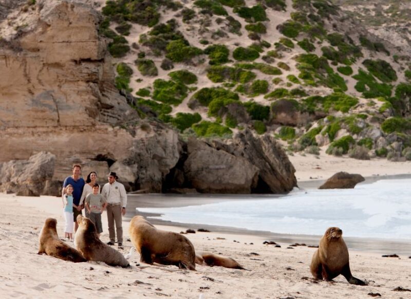 Kangaroo Island: Scenic, Nature & Wildlife Tour - Native Wildlife
