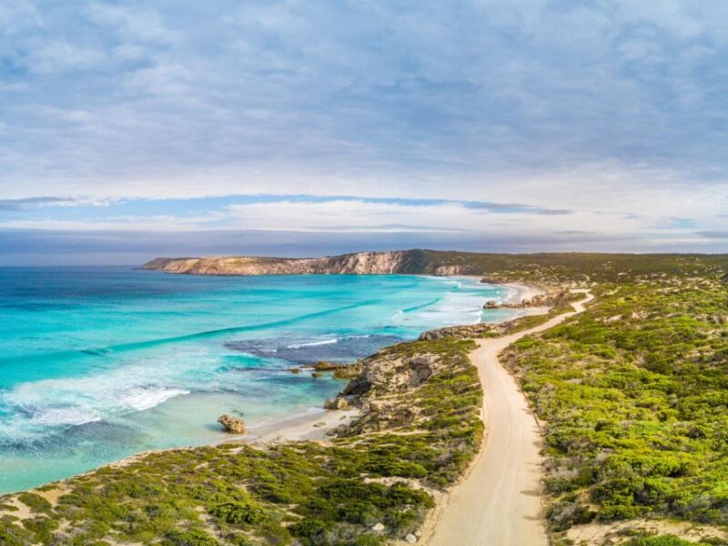 Kangaroo Island Seal Bay Beach Experience - Guided Tour - Tour Features