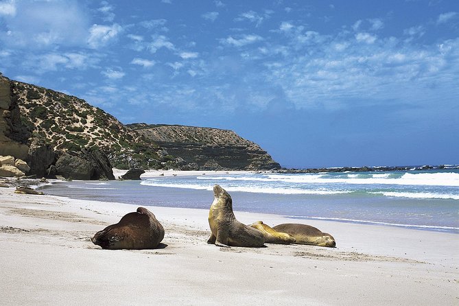 Kangaroo Island Shore Excursion Scenic Trail Tour - Travel Insurance and Cancellation Policy
