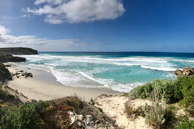 Kangaroo Island Shore Excursion Scenic Trail Tour - Customer Feedback and Ratings