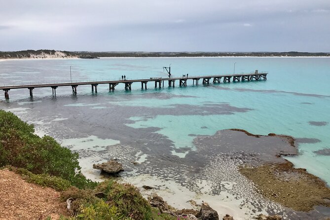 Kangaroo Island Shore Excursion Scenic Trail Tour - Guide Performance Assessments