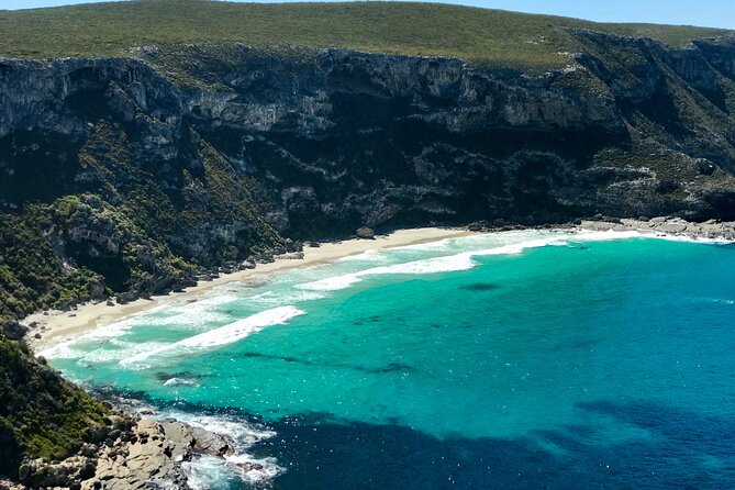 Kangaroo Island Shore Excursion Scenic Trail Tour - Tender Reliability and Availability