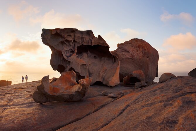 Kangaroo Island Shore Excursion Scenic Trail Tour - Booking Considerations and Policies